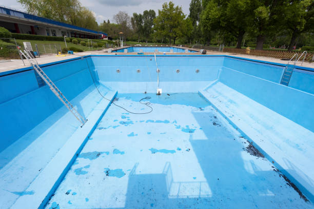 Best Professional water damage repair  in Shadybrook, TX