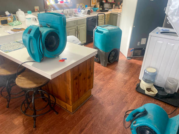 Best Flooded house restoration  in Shadybrook, TX
