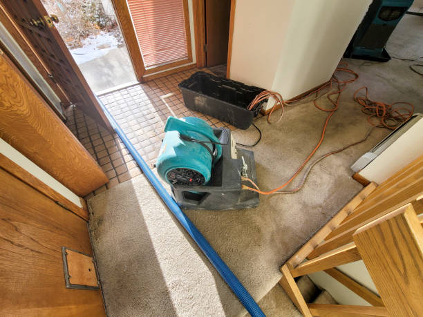 Best Residential water damage restoration  in Shadybrook, TX
