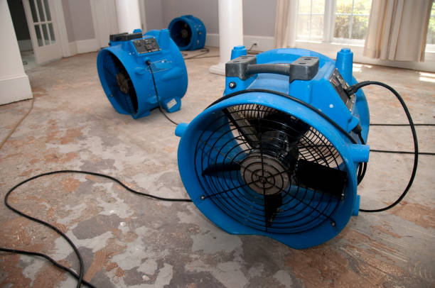 Reliable Shadybrook, TX Water damage restoration Solutions